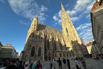 Image (71)