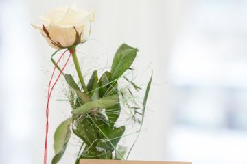 60 Jahre Plaston - 006