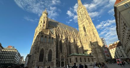 Image (71)