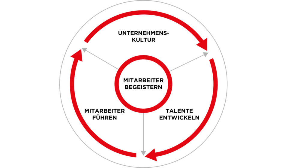 PLASTON_Grafik_HR_DE_webseite